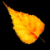 Dancing Leaves